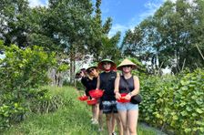 Farm to Table Cooking Class in Organic Farm