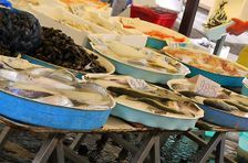 Italian Home Cooking Class - The Mediterranean Sea Fruits