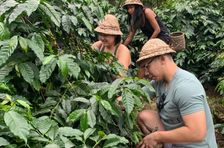 Balinese koffiebereiding en rondleiding op de boerderij inclusief lunch