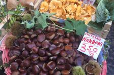 Local Market Tour + Neapolitan Cuisine Cooking Class