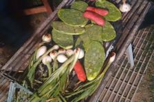 Grill Lovers' Delight: Learn Everything to Cook an Authentic Mexican Sunday Grill!