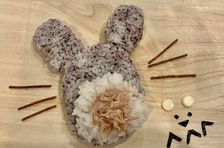 Character Bento Box Lesson in Nagoya