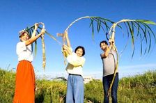 Okinawan Dessert Making: Fresh from the Farm