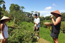Organic and Authentic Balinese Cooking Class With Cycling in Jatiluwih Rice Terrace