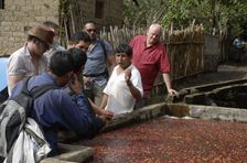 Spend a Day with the Locals at an Organic Coffee Farm