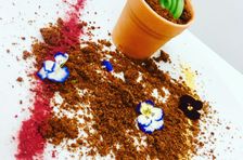 Personal Chef at Home or in a Restaurant in Ortigia's Island