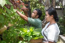 Private Cooking Class with Garden and Market Tour in a Tranquil Resort
