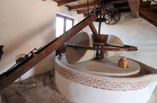 Private Olive Oil Tour with Full Breakfast and Olive Oil Tasting Included