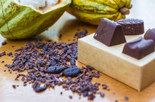 Rainforest Tasting Experience: An Adventure Through the Flavors of the Jungle