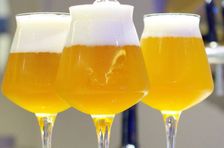 Sorrento: Guided Craft Beer Tasting & Brewery Experience