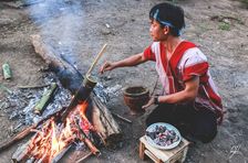 Culinária, trilhas, cuidados com elefantes e aprendizado sobre a cultura Karen (3 dias e 2 noites)