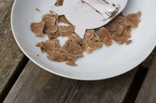 Truffle Hunting in the Woods of Valdichiana Senese