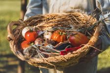 Vegan cooking class in Valdichiana Senese