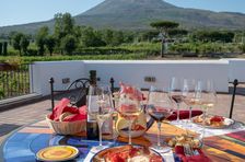 Guided Tour of Vesuvius Wine Tasting with Meal Included