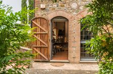 Mencicipi Anggur, Minyak Zaitun Murni, dan Keju di San Gimignano
