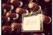 Winery Tour and Classic Wine Tasting at Sesta di Sopra in Montalcino