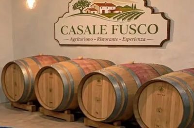 5-Day Cooking, Truffle Hunting & Wine Tasting Experience in Spoleto