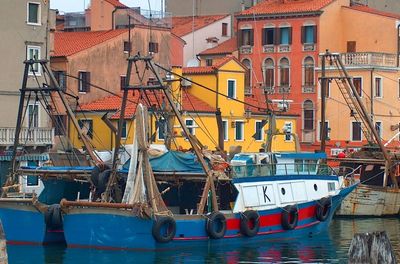 Wisata Sehari Kelompok Kecil dari Venesia: Kunjungan ke Peternakan Organik & Makan Siang Prosecco Laut