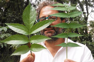 Discover Edible Wild Plants on a Botanical Walk