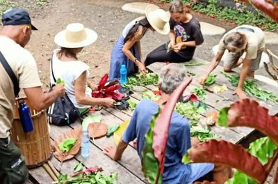 SHAYA Junglekitchen - The Plant Based Food Hunters with KIDS Academy