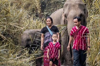 Exploring the Karen Culture with Cooking, Elephant Caring and More (2 Days 1 Night)