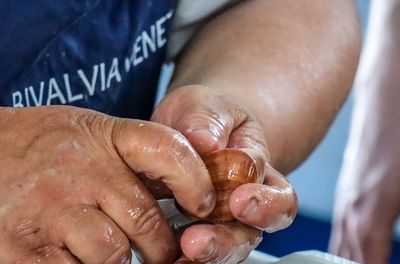 Naik Perahu dan Tur Kuliner di Chioggia dekat Venesia