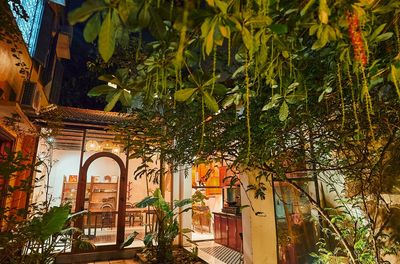 Cook Nem Rán & Bún Chả in Hanoi Garden Villa and Free Egg Coffee