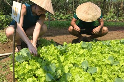 Experience Rural Life and Cooking at Organic Farm in Hoi An