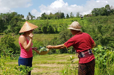 Organic and Authentic Balinese Cooking Class with Trekking in the Rice Terraces