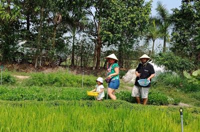 Organic Farm To Table Cooking Class in Vietnamese Agricultural Village