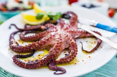 Tuscan Italian Cooking in Gragnano