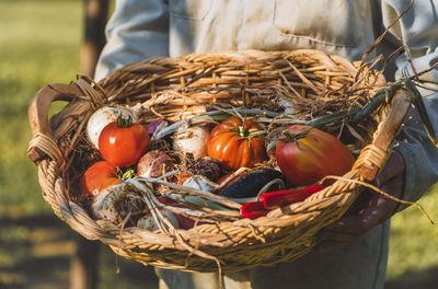 Vegan cooking class in Valdichiana Senese