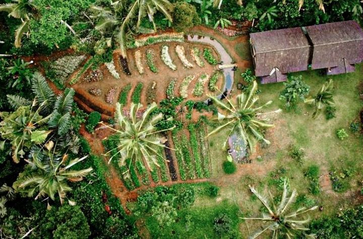 7-Dish Cooking Class in Lush Organic Farm with Vegan Option