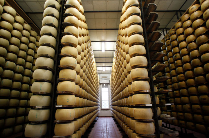 A Guided Tour to Experience the Best Parmigiano Reggiano Tasting
