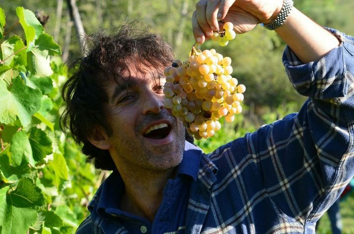 Biodynamic Wines & Organic Feast: Uncork Nature's Bounty at Stunning Vineyard