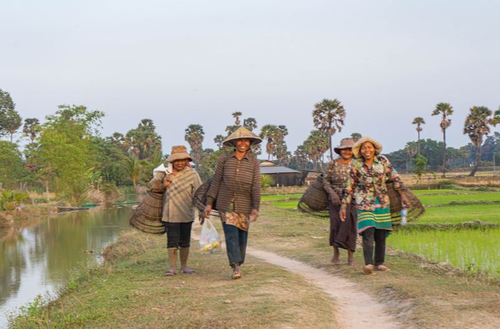 An Afternoon Farm-to-Table Khmer Cooking Experience in Siem Reap