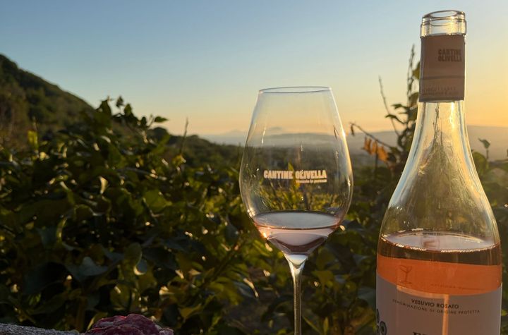 Mount Vesuvius Wine Tasting with Vineyard Views & Traditional Lunch Experience
