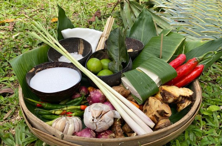 Cook with Fresh Picks from Organic Farm and visit Ubud's Market