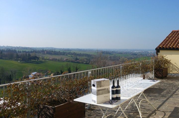 Winery Tour and Wine Tasting in Bologna