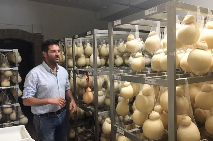 Private Cheese Experience From Grass to Cheese Farm Tour, Cheese Making Workshop and Tasting