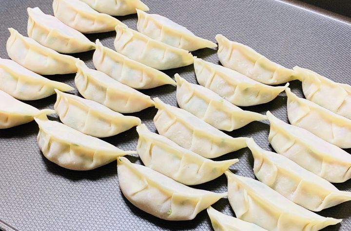 The Art of Making Homemade Japanese Gyoza Class in Nagoya