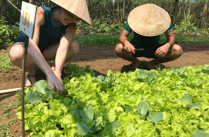 Experience Rural Life and Cooking at Organic Farm in Hoi An