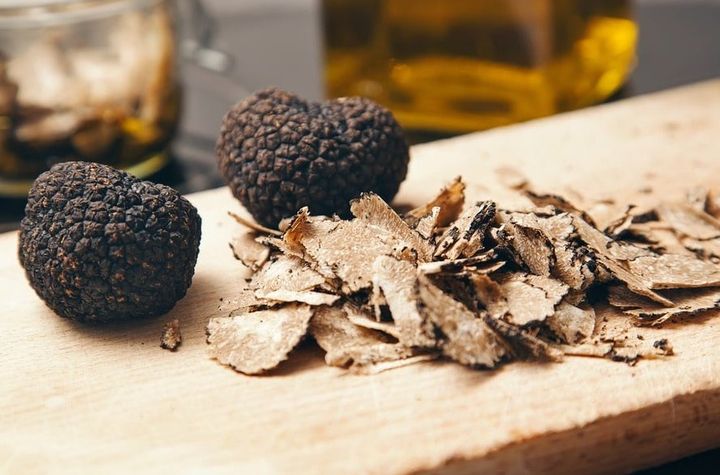 Truffle Hunting & Tasting: A Sensory Journey Through Tuscany