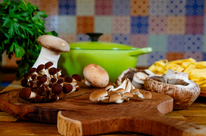 Hands-On Mushroom Cooking at a Monferrato Farmhouse with Alpine Views