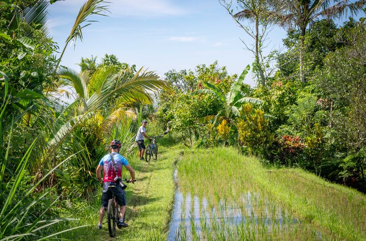 Organic and Authentic Balinese Cooking Class With Cycling in Jatiluwih Rice Terrace