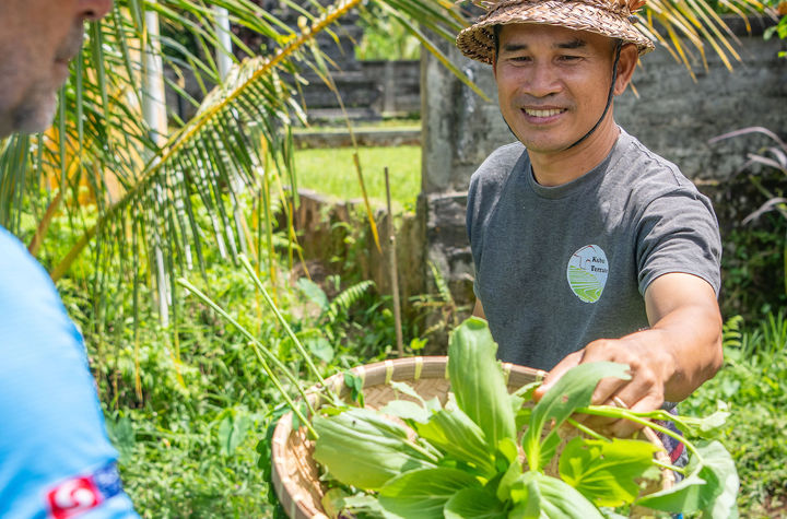 Vegan Balinese Cooking Class in the UNESCO-listed Jatiluwih Rice Terraces