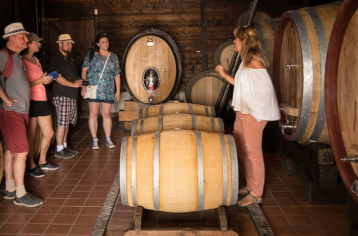 Organic "Superiore" Wine Tasting with Lunch on Vesuvius