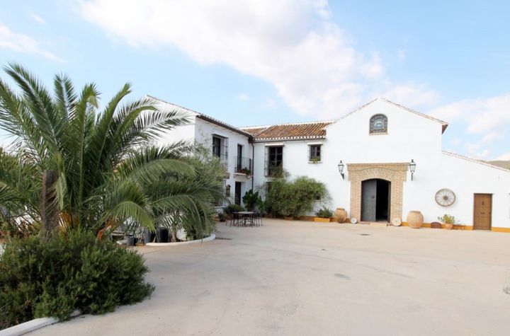 Private Olive Oil Tour with Full Breakfast and Olive Oil Tasting Included