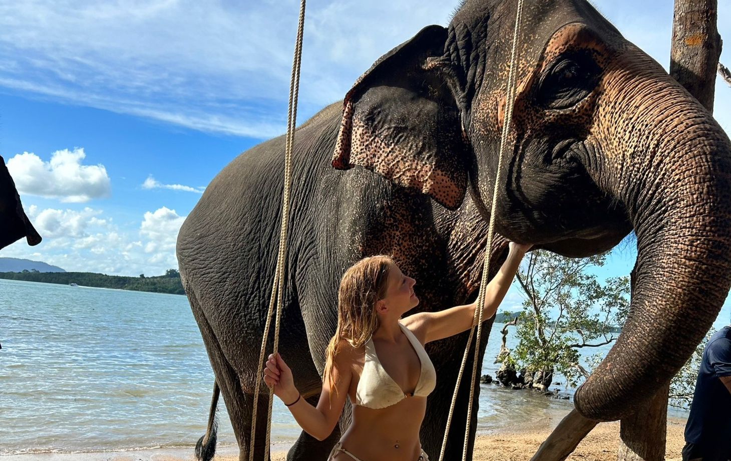 Elephant care camp at siray phuket