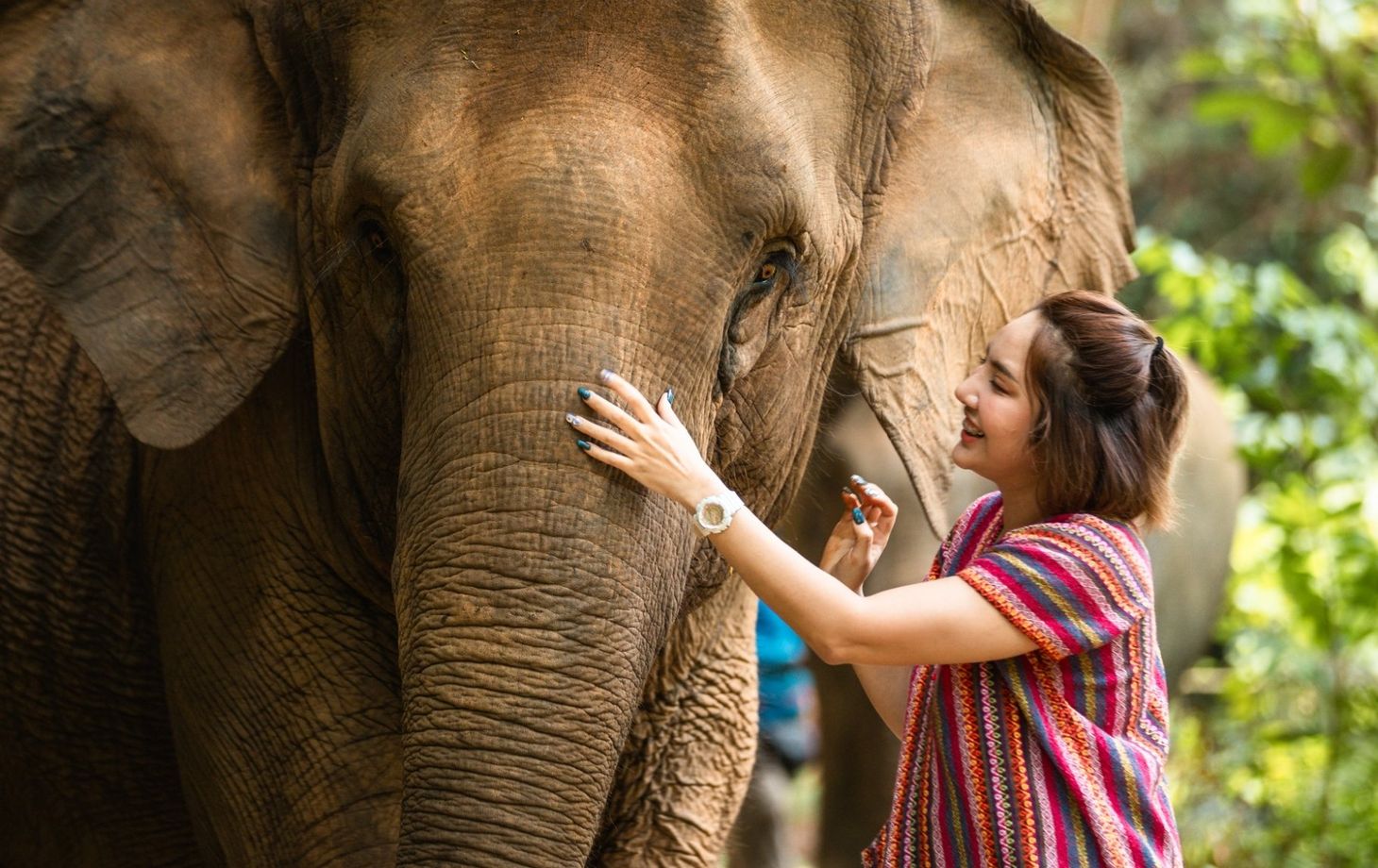 Elephant Care Camp and Cooking Class in Si-Ray Phuket